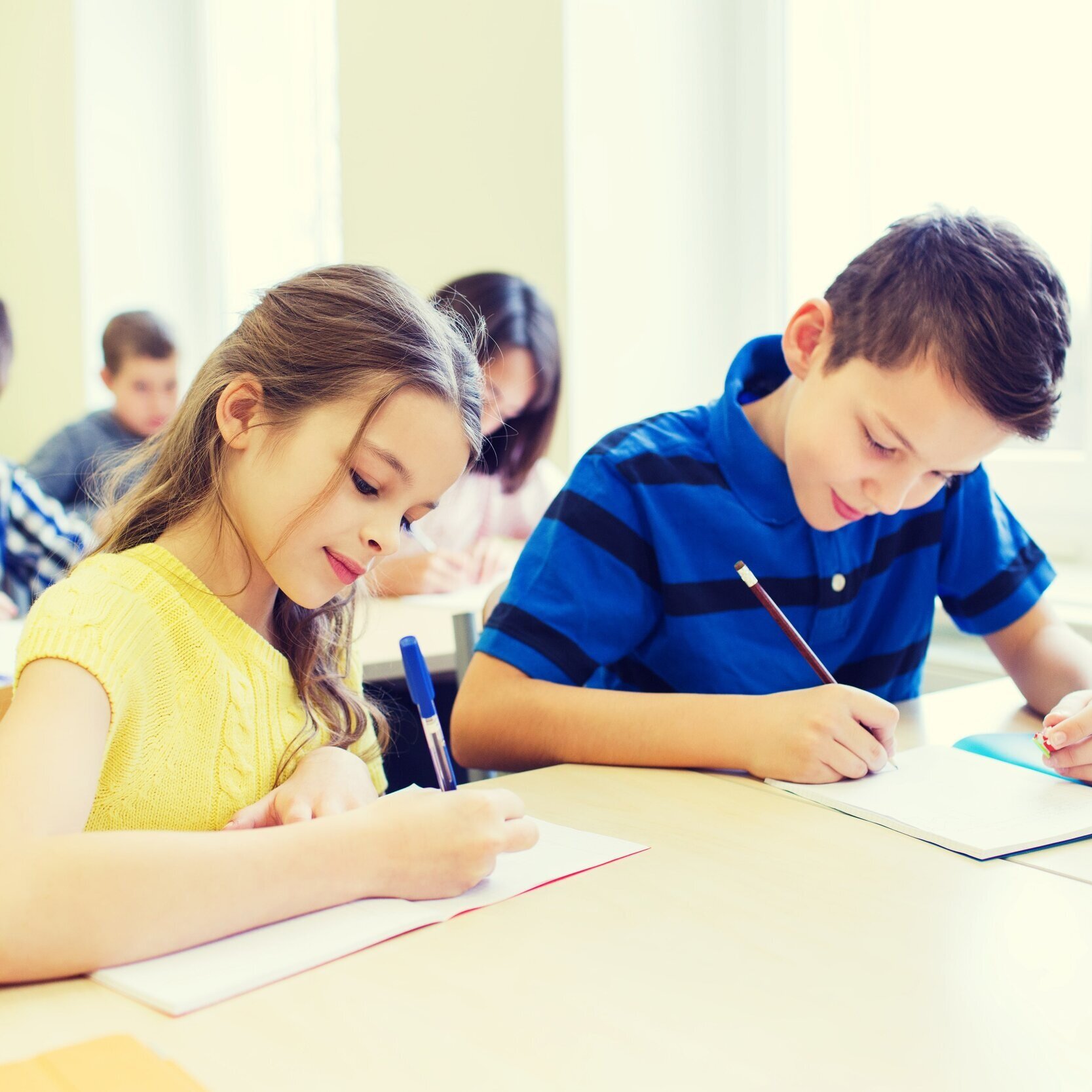 11 Plus Verbal and Non-Verbal Reasoning