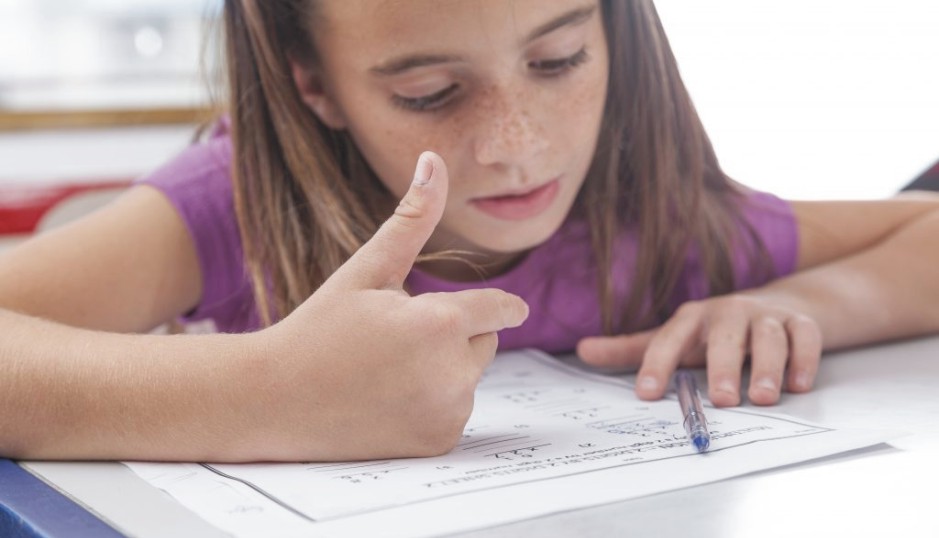 Verbal Reasoning Section