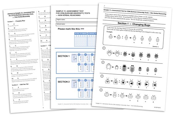 11 Plus Non-Verbal Reasoning Test Examples