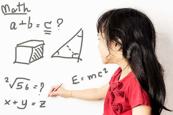 Weightage of Topics in 11 Plus Mathematics Curriculum
