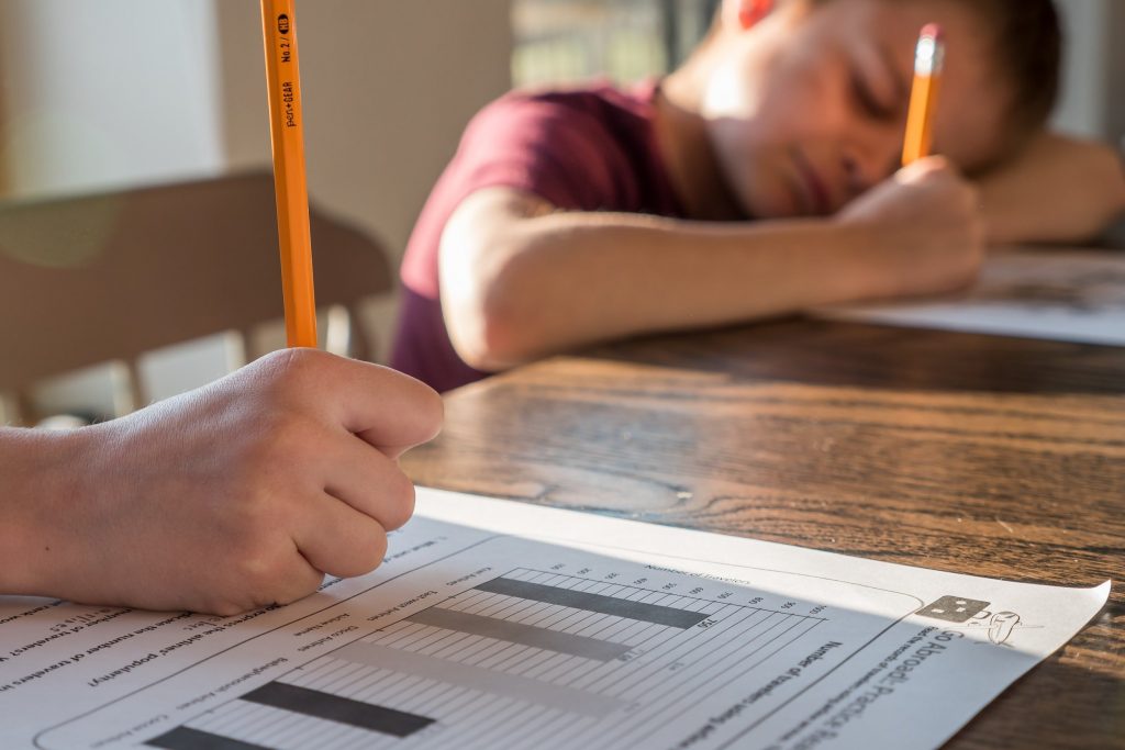 How Regional Variations of the 11 Plus Affect Your Preparation Strategy