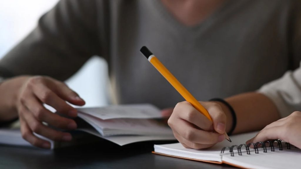 Success Stories: 11 Plus Achievements with Tutors