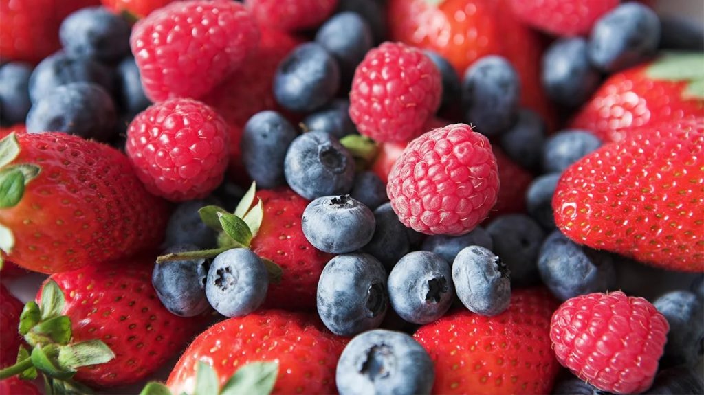7 Smart Diet Choices to Manage 11 Plus Exam Anxiety