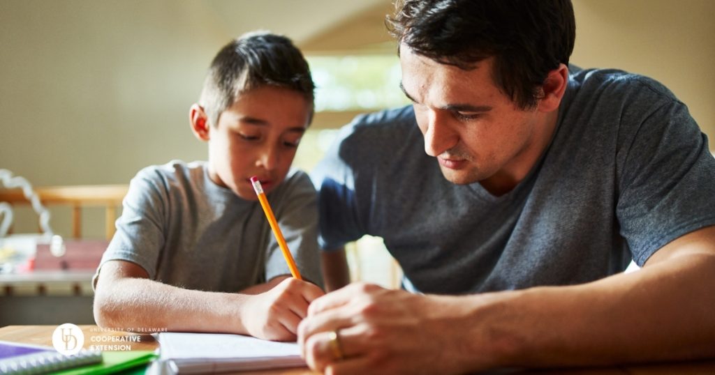 6 Potential Challenges with New 11 Plus Syllabus Adjustments