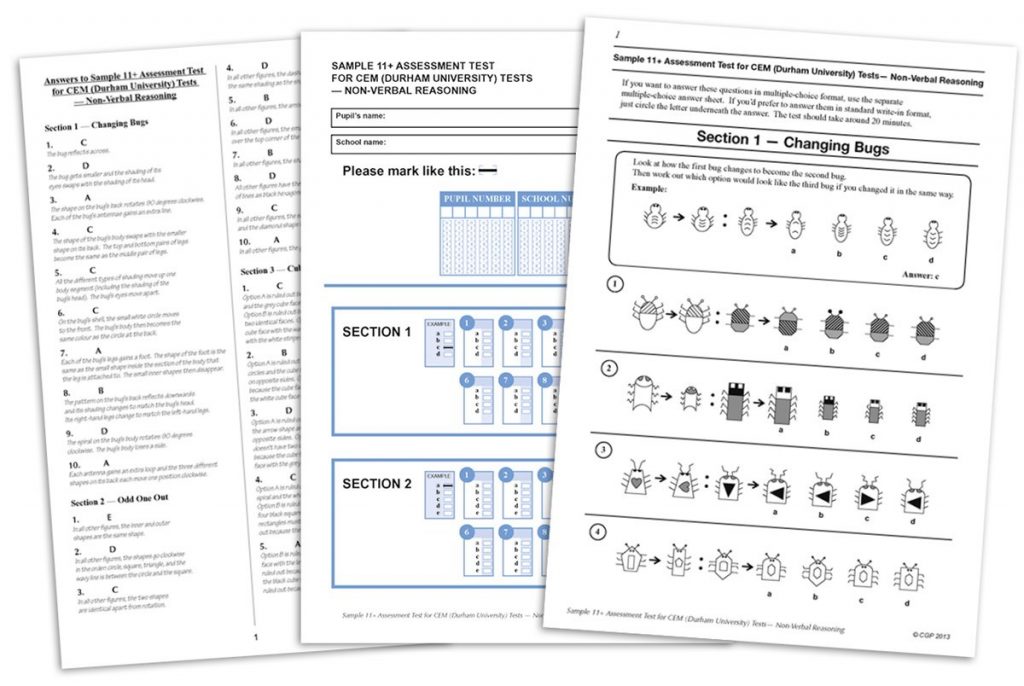 6 Resources and Materials Offered by Schools for 11 Plus Prep