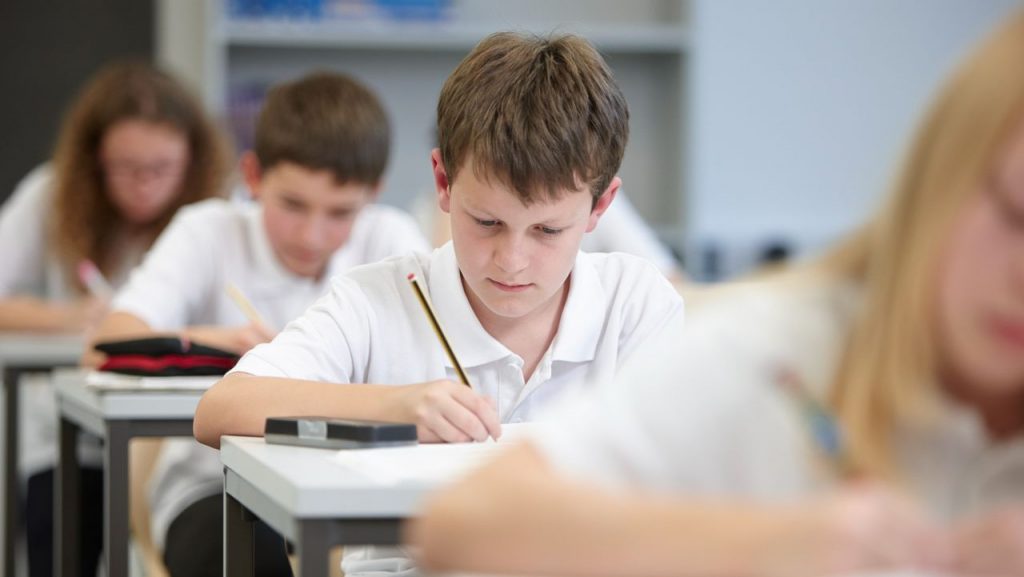 Understanding Pass Marks and Standardized Scoring in Grammar School Exams