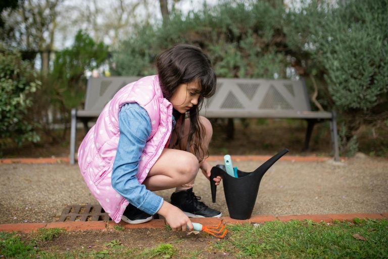 11 Plus Study Break Ideas: 13 Productive Hobbies and Activities